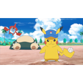 ABRILHANTADOR EQUINO BRAITE 1LT WINNER