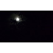 BB4L_123451_20